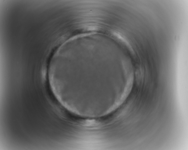 X0000088720406200706212024