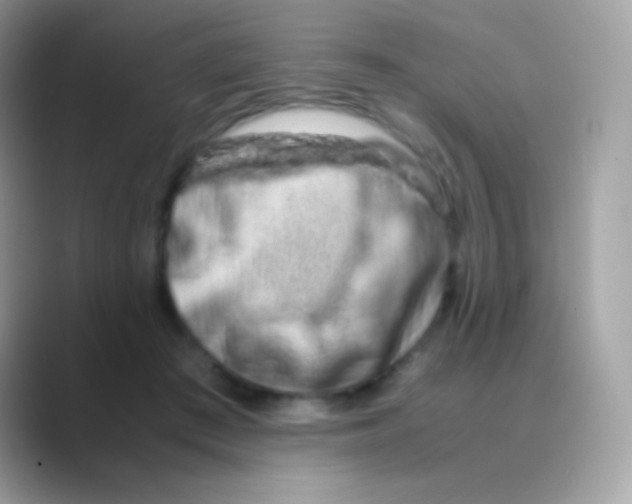 X0000088720409200706212024