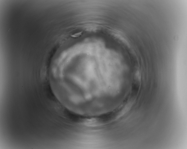 X0000088720411200706212024