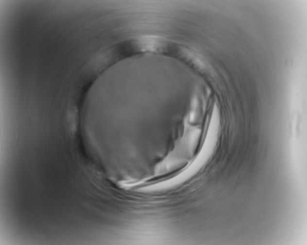 X0000088720413200706212024