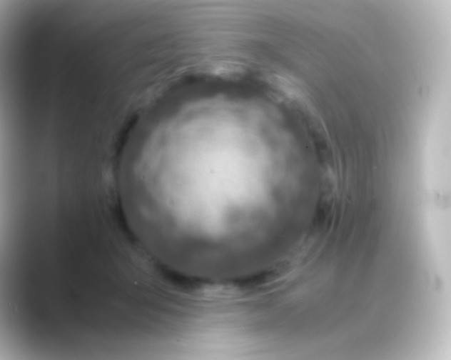 X0000088720415200706212024