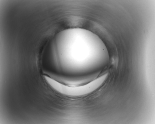 X0000088720416200706212024