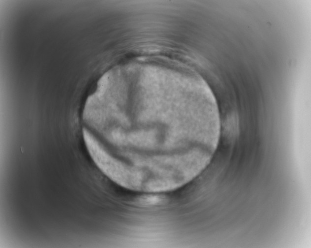 X0000088720418200706212024