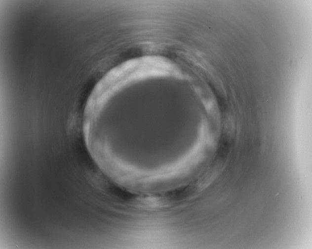 X0000088720419200706212024