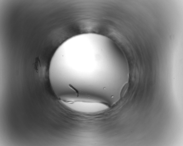 X0000088720420200706212024