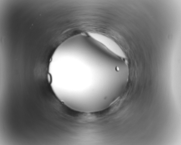 X0000088720421200706212024