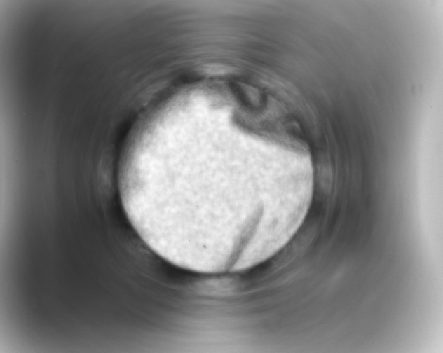 X0000088720422200706212024