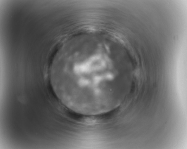 X0000088720423200706212024