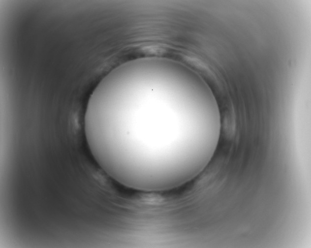 X0000088720424200706212024