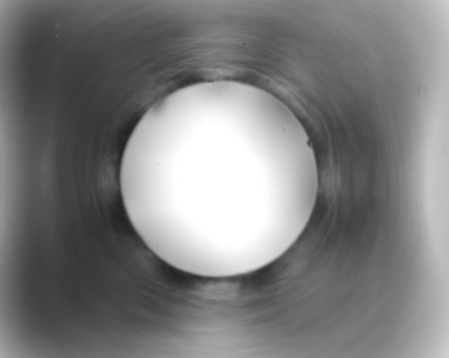 X0000088720426200706212024