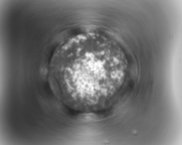 X0000088720427200706212024