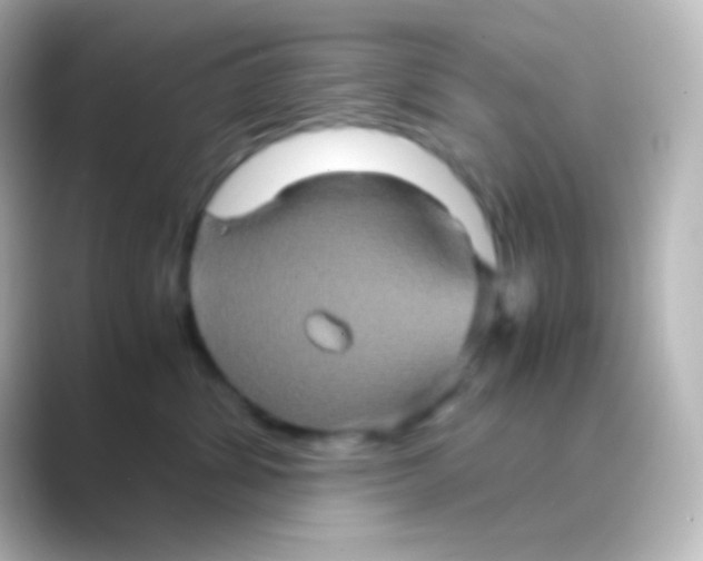 X0000088720428200706212024