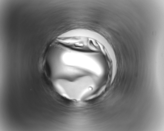 X0000088720429200706212024