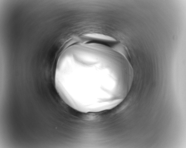 X0000088720432200706212024