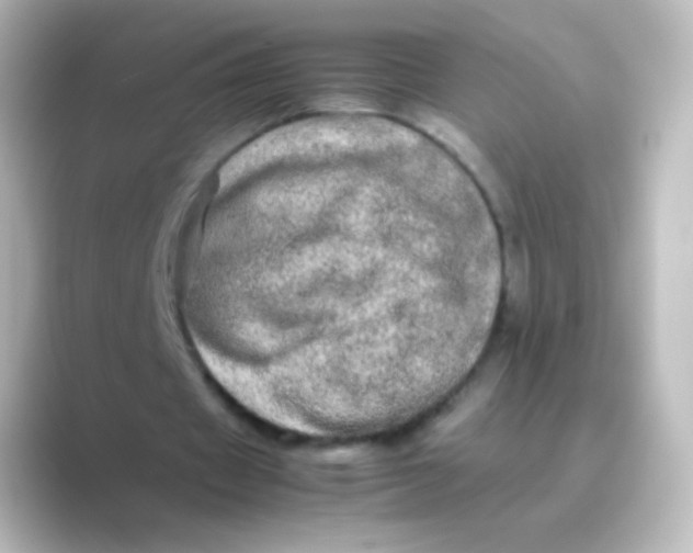 X0000088720433200706212023