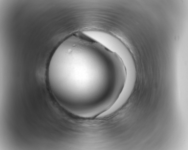 X0000088720434200706212023