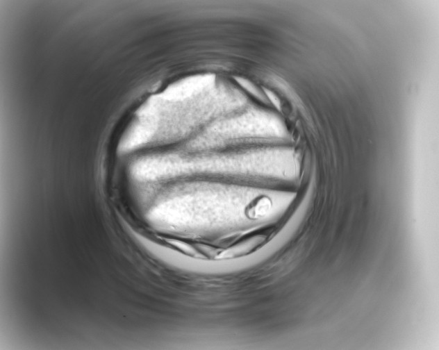 X0000088720435200706212023