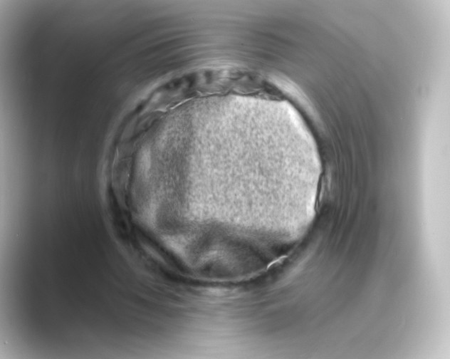 X0000088720436200706212023