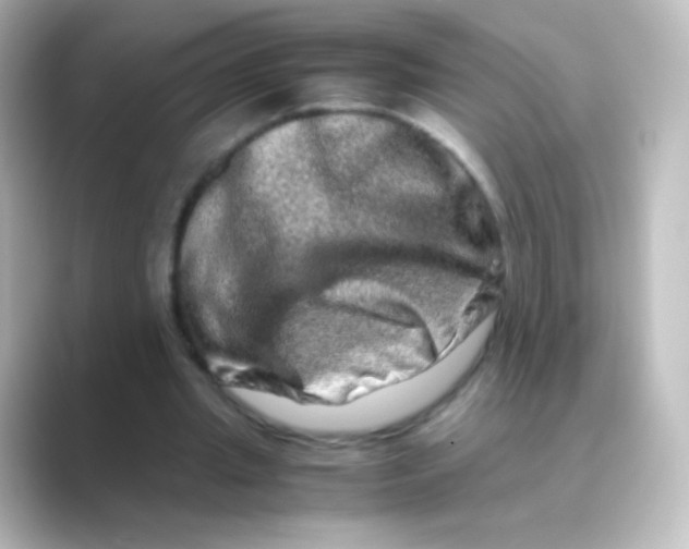 X0000088720437200706212023