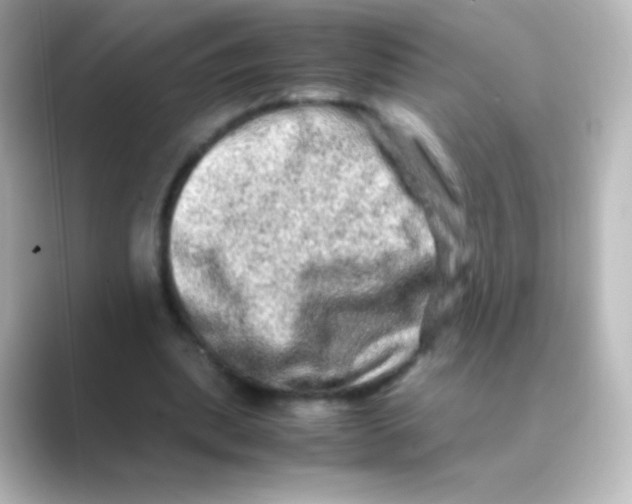 X0000088720439200706212023