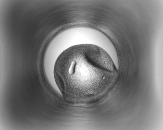 X0000088720440200706212023