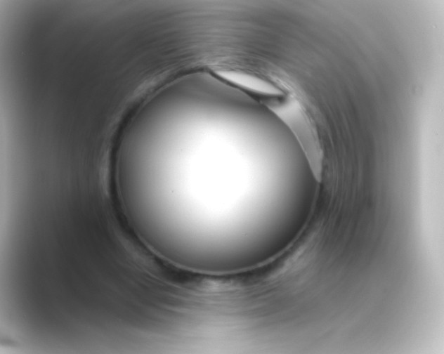 X0000088720442200706212023