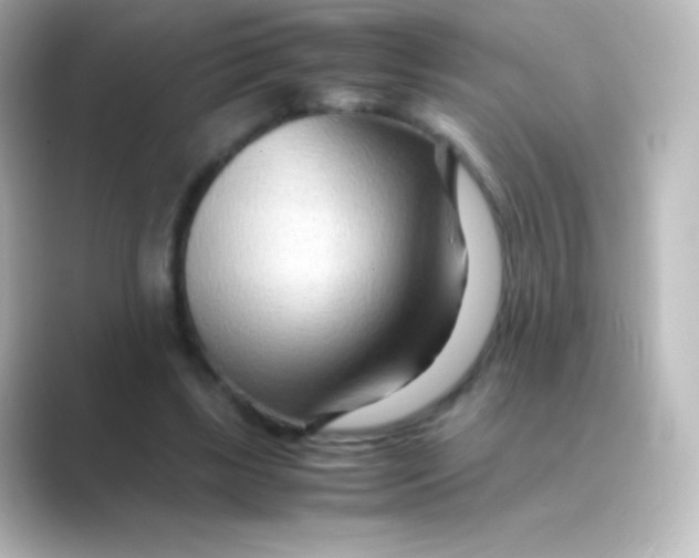 X0000088720443200706212023