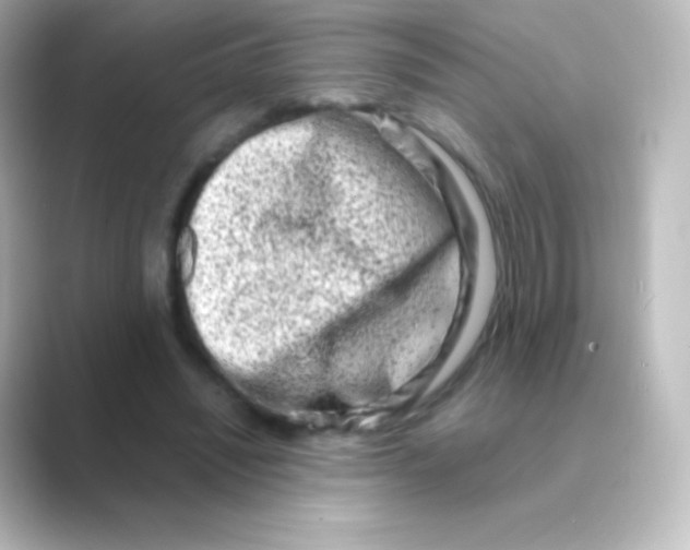 X0000088720444200706212023