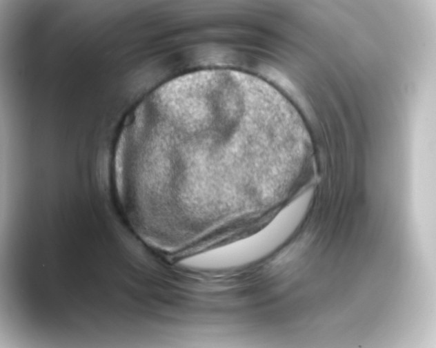 X0000088720445200706212023