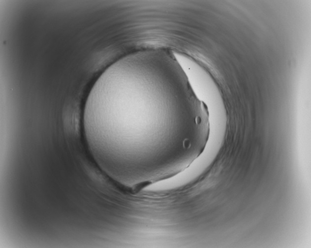 X0000088720446200706212023