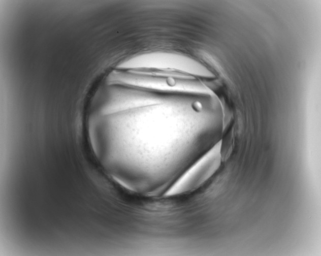 X0000088720447200706212023