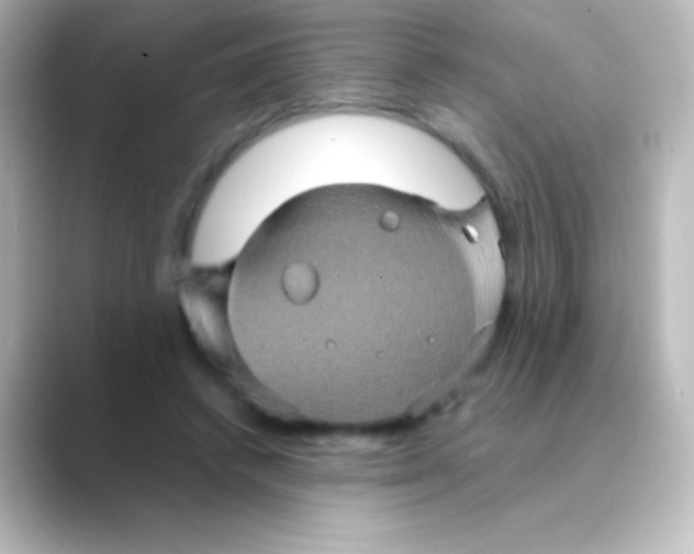 X0000088720448200706212023