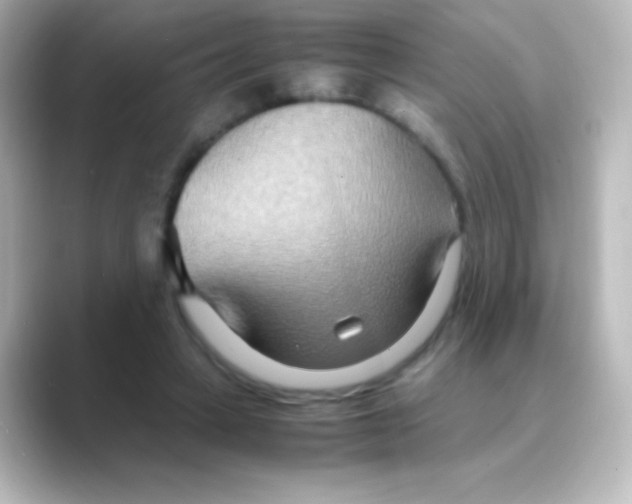 X0000088720449200706212023