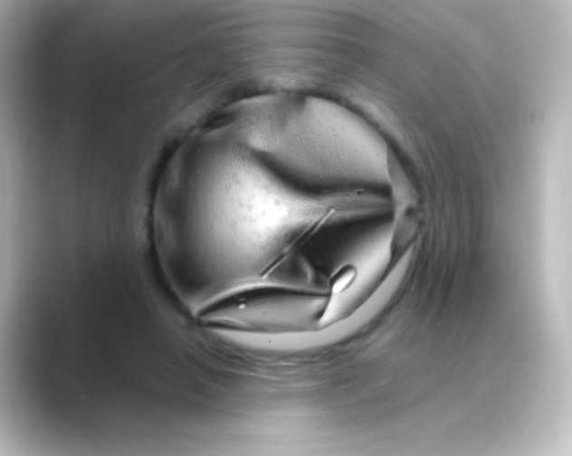 X0000088720450200706212023