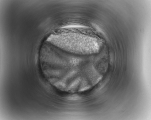 X0000088720451200706212023