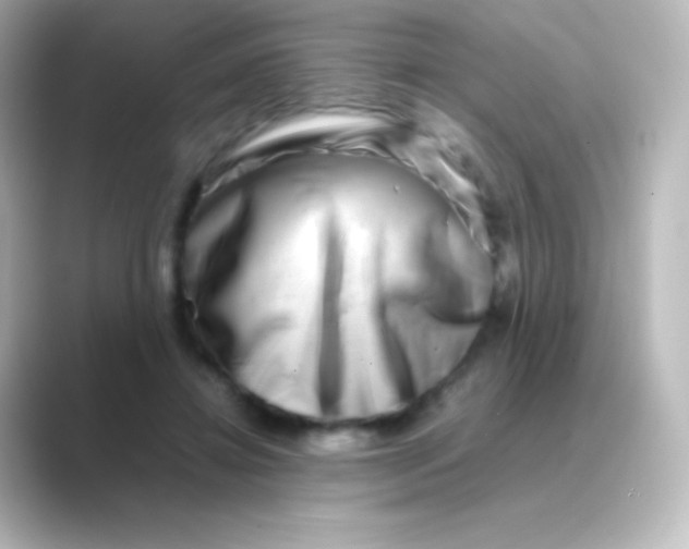 X0000088720452200706212023