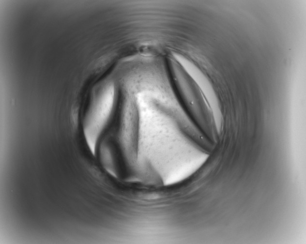 X0000088720454200706212023