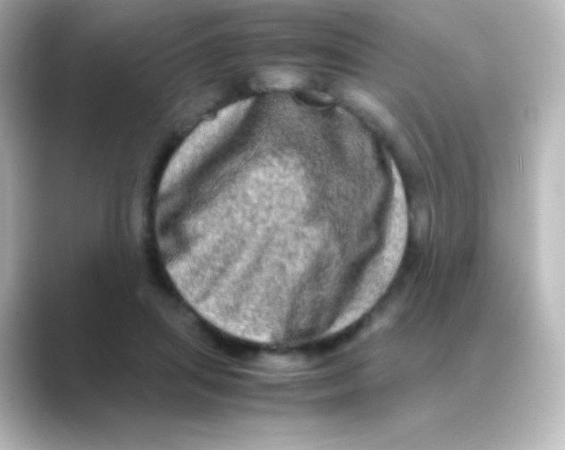 X0000088720455200706212023