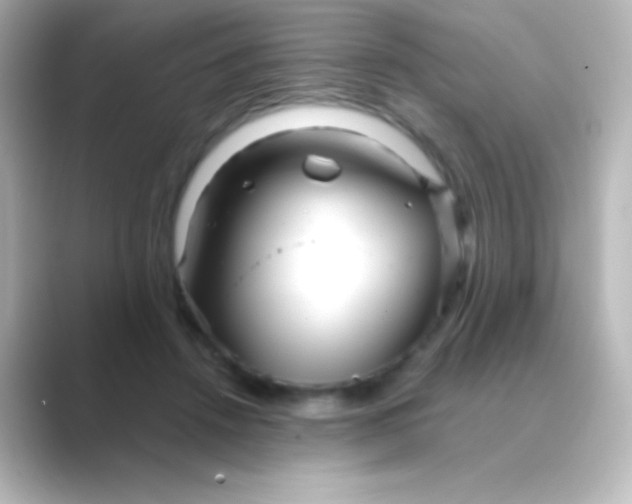 X0000088720456200706212023