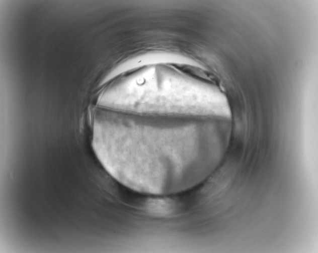 X0000088720457200706212024