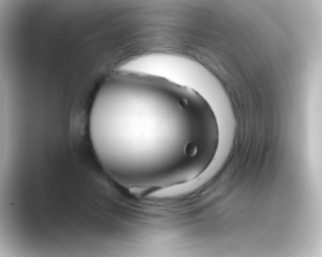 X0000088720458200706212024