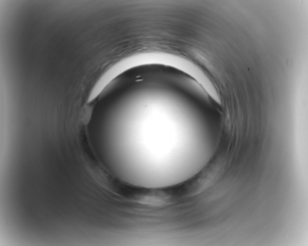 X0000088720459200706212024