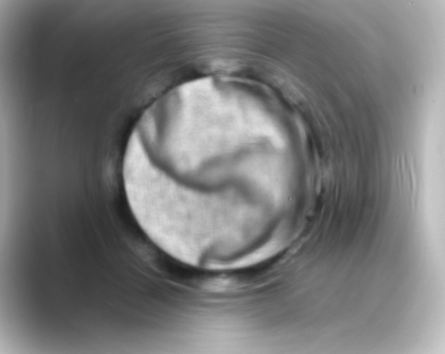 X0000088720460200706212024