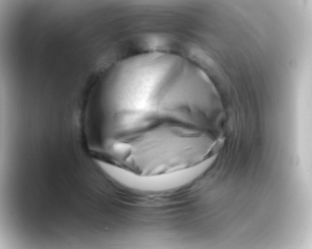 X0000088720461200706212024