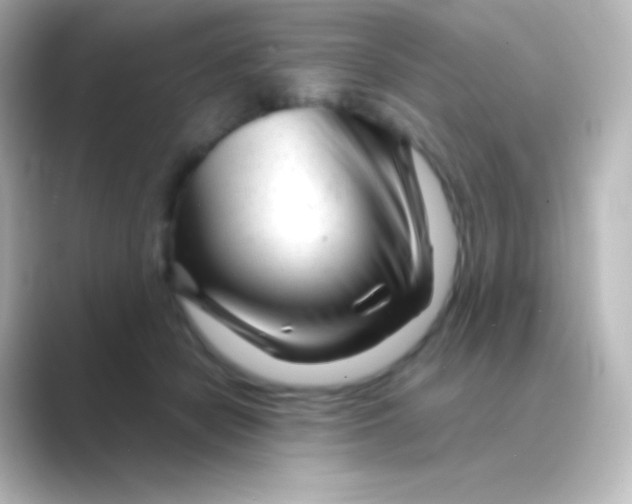 X0000088720462200706212024