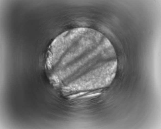 X0000088720465200706212024