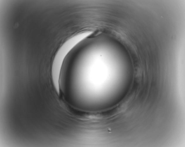 X0000088720466200706212024