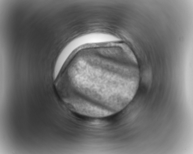 X0000088720467200706212024