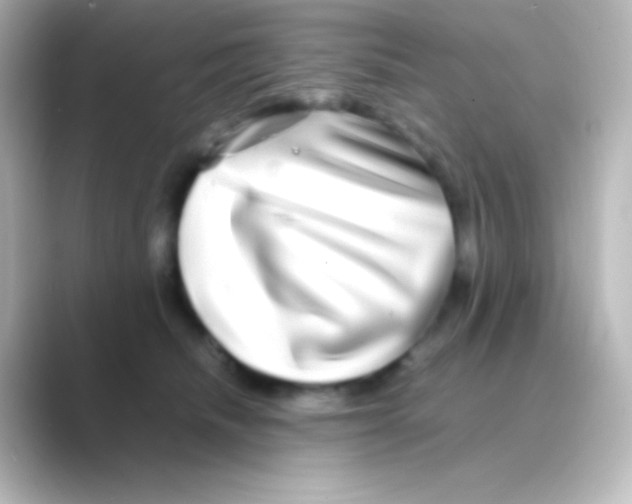 X0000088720468200706212024