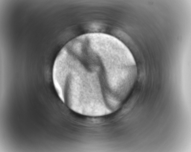 X0000088720469200706212024